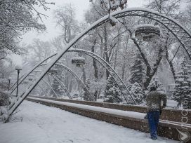Снегопад в Алматы. Фотография Жанары Каримовой
